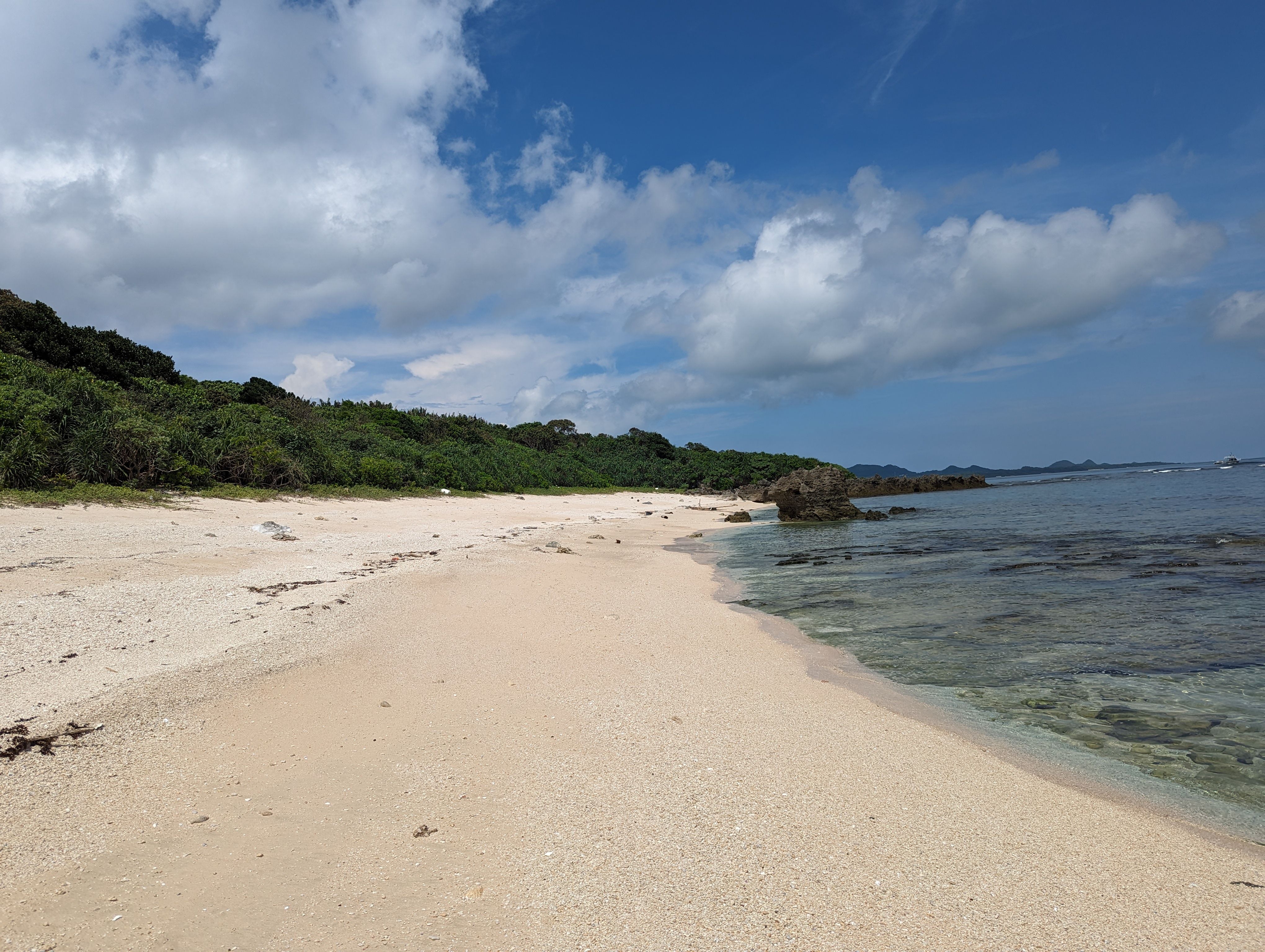 A Tropical Beach.