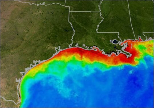 Imagery of the Gulf Dead Zone. Photo created by NOAA.