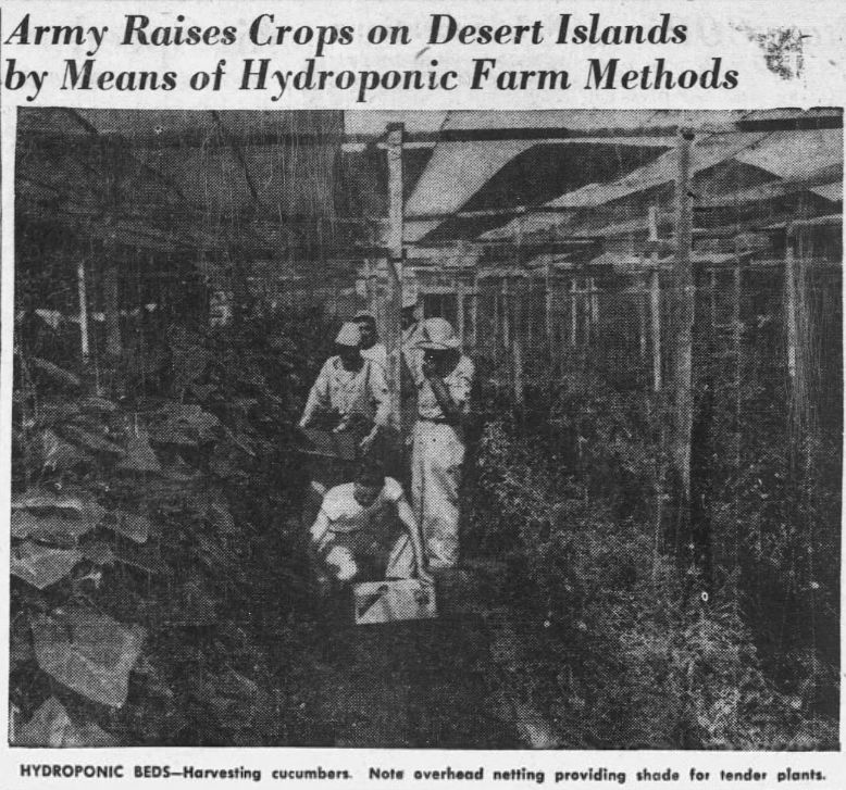 Newspaper clipping of a US Army hydroponics facility in 1947.