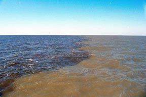 Photo by NOAA of a dead zone with sediment from the Mississippi River carrying fertilizer to the Gulf of Mexico.