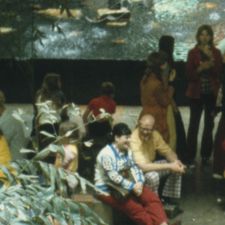 A Mall in Maryland in the 1970s