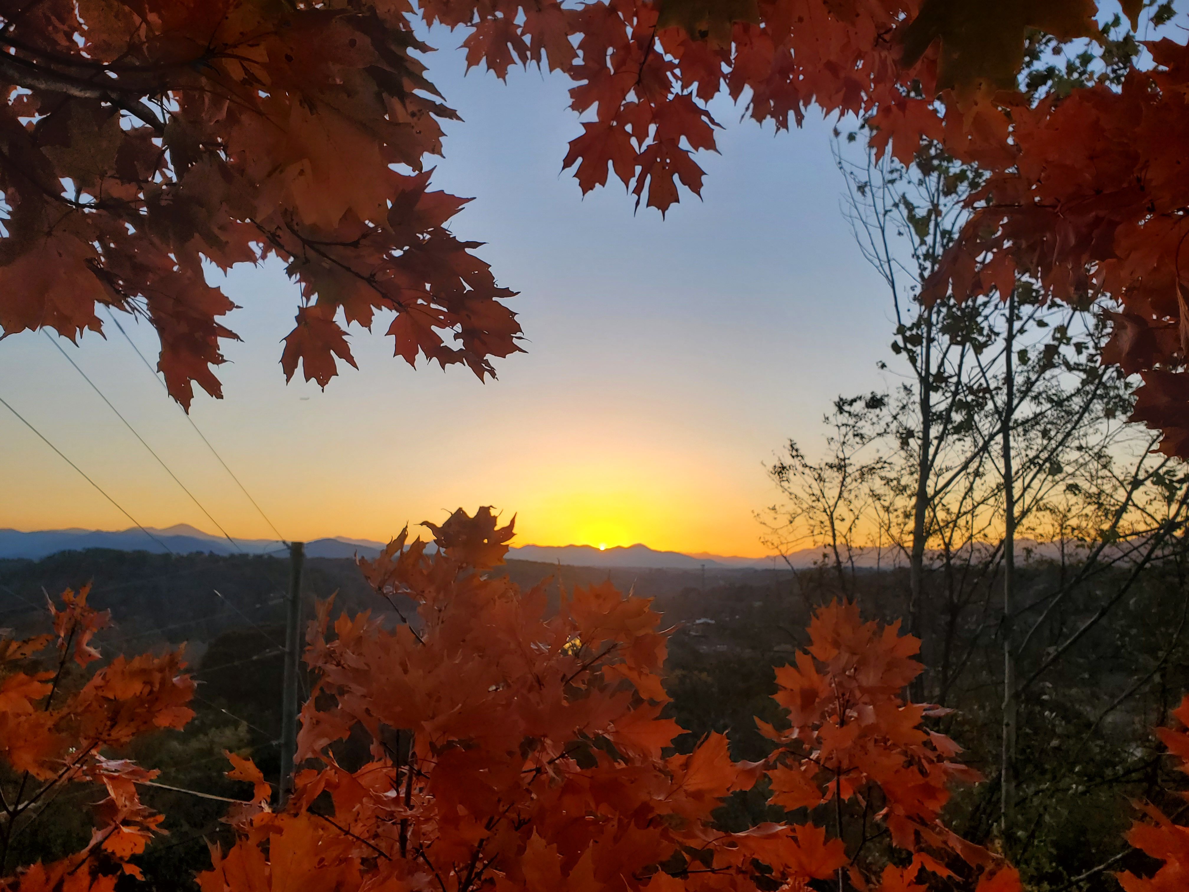 A fall sunset.